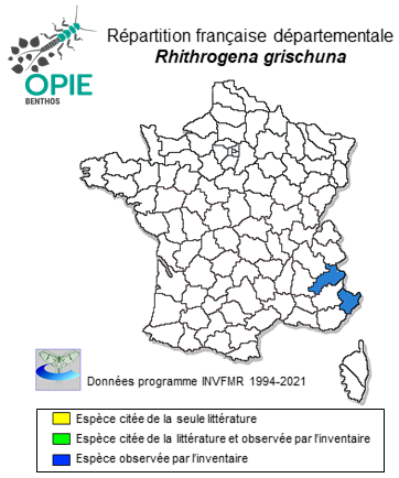 Carte de distribution de Rhithrogena grischuna Sartori & Oswald, 1988