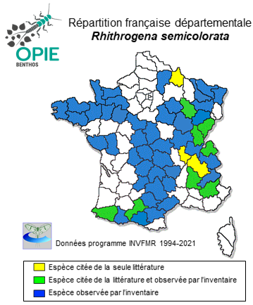 Carte de distribution de Rhithrogena semicolorata (Curtis, 1834)