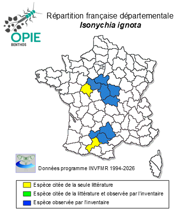 Carte de distribution de Isonychia ignota (Walker, 1853)