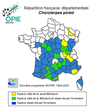 Carte de distribution de Choroterpes picteti (Eaton, 1871)