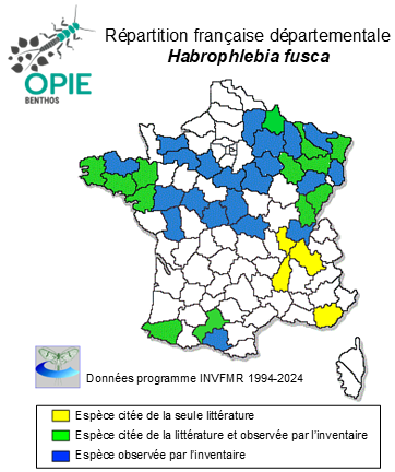 Carte de distribution de Habrophlebia fusca (Curtis, 1834)