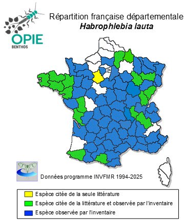 Carte de distribution de Habrophlebia lauta Eaton, 1884