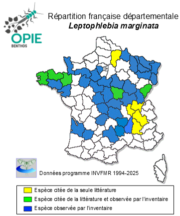 Carte de distribution de Leptophlebia marginata (Linné, 1767)