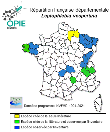 Carte de distribution de Leptophlebia vespertina (Linnaeus, 1758)