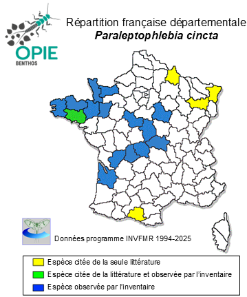 Carte de distribution de Paraleptophlebia cincta (Retzius, 1783)