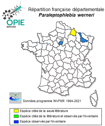 Carte de distribution de Paraleptophlebia werneri Ulmer, 1920