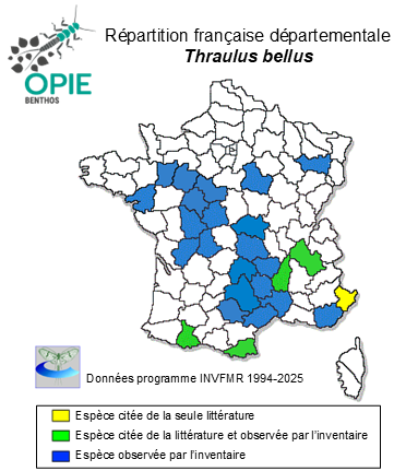 Carte de distribution de Thraulus bellus Eaton, 1881