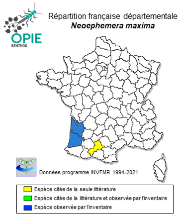 Carte de distribution de Neoephemera maxima (Joly, 1870)