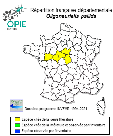 Carte de distribution de Oligoneuriella pallida (Hagen, 1855)
