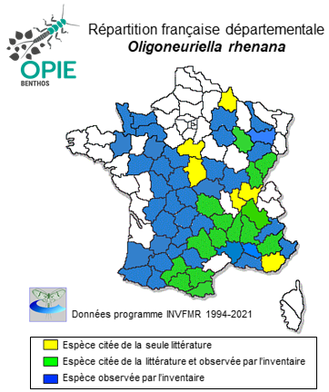 Carte de distribution de Oligoneuriella rhenana (Imhoff, 1852)