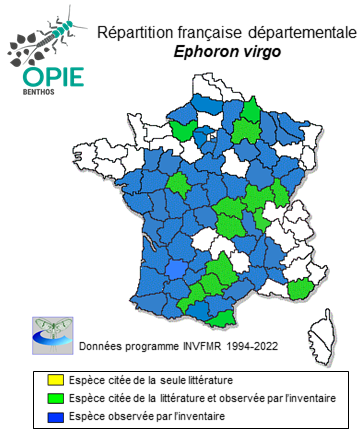 Carte de distribution de Ephoron virgo (Olivier, 1792)