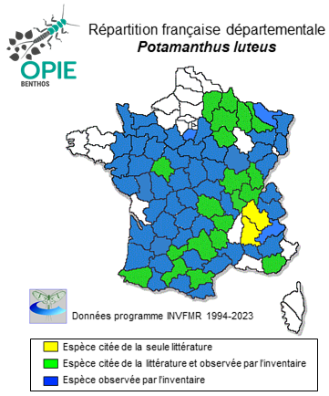 Carte de distribution de Potamanthus luteus (Linné, 1767)