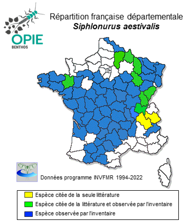 Carte de distribution de Siphlonurus aestivalis Eaton, 1903