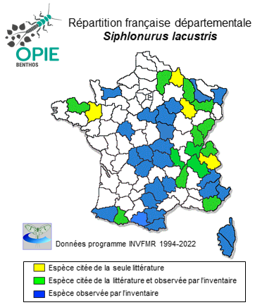 Carte de distribution de Siphlonurus lacustris Eaton, 1870