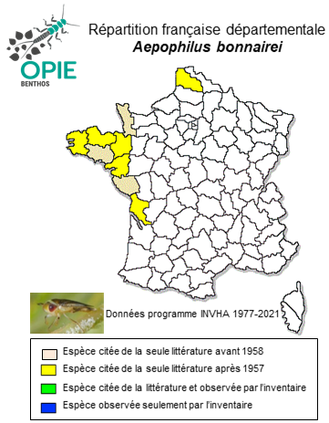 Carte de distribution de Aepophilus bonnairei