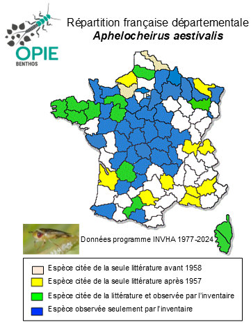 Carte de distribution de Aphelocheirus aestivalis (Fabricius, 1794)