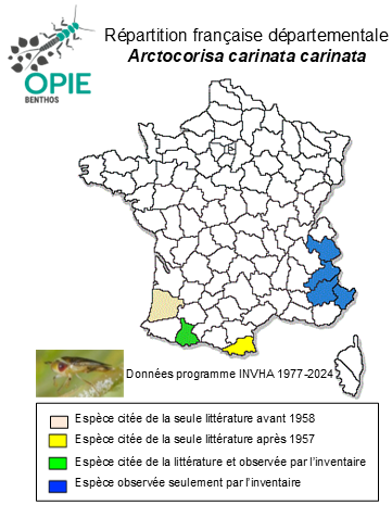 Carte de distribution de Arctocorisa carinata carinata (C. R. Sahlberg, 1819)