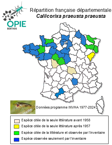 Carte de distribution de Callicorixa praeusta praeusta (Fieber, 1848)