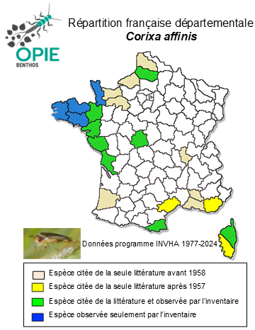 Carte de distribution de Corixa affinis Leach, 1817