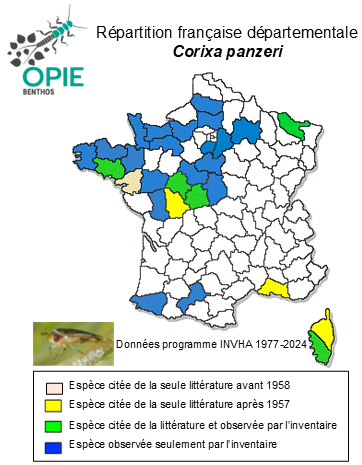 Carte de distribution de Corixa panzeri Fieber, 1848