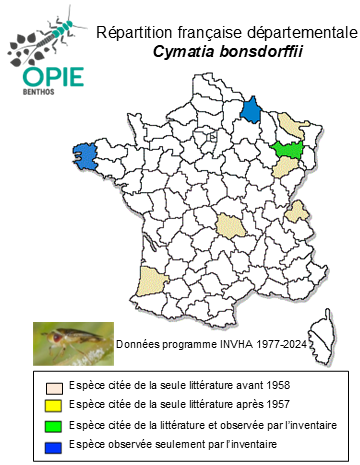 Carte de distribution de Cymatia bonsdorffii (C. R. Sahlberg, 1819)