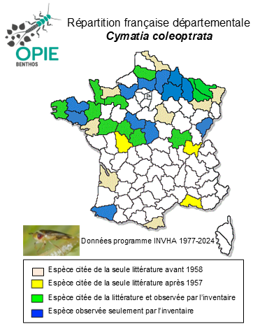 Carte de distribution de Cymatia coleoptrata (Fabricius, 1777)
