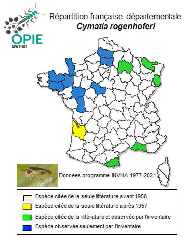 Carte de distribution de Cymatia rogenhoferi (Fieber, 1864)
