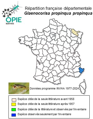 Carte de distribution de Glaenocorisa propinqua propinqua (Fieber, 1860)