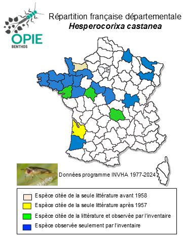 Carte de distribution de Hesperocorixa castanea (Thomson, 1869)