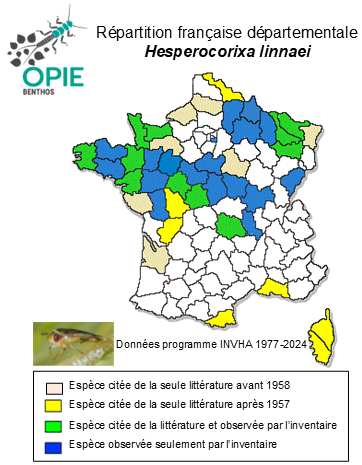 Carte de distribution de Hesperocorixa linnaei (Fieber, 1848)