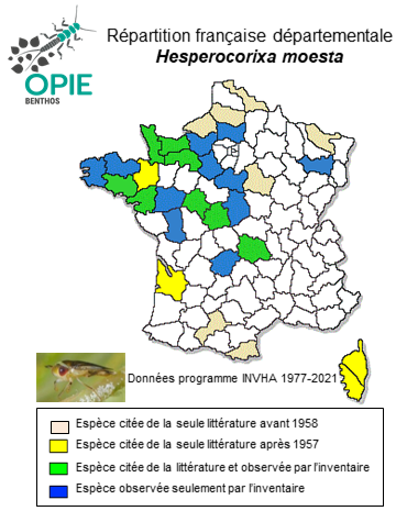 Carte de distribution de Hesperocorixa moesta (Fieber, 1848)