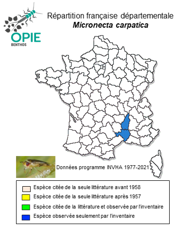 Carte de distribution de Micronecta carpatica Wróblewski, 1958