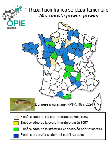 Carte de distribution de Micronecta poweri poweri (Douglas & Scott, 1869)