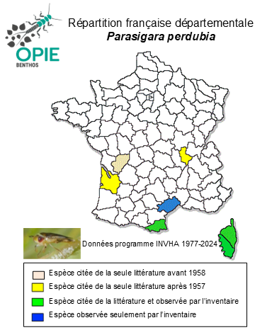 Carte de distribution de Parasigara perdubia (Rey, 1894)