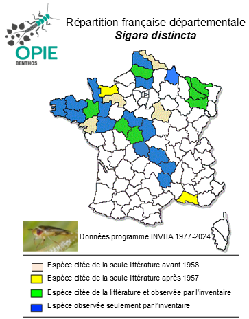 Carte de distribution de Sigara distincta (Fieber, 1848)