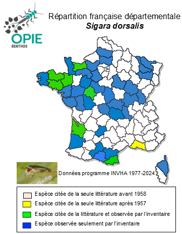 Carte de distribution de Sigara dorsalis (Leach, 1817)