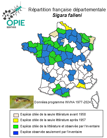 Carte de distribution de Sigara falleni (Fieber, 1848)