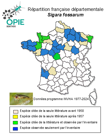 Carte de distribution de Sigara fossarum (Leach, 1817)