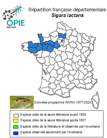 Carte de distribution de Sigara iactans Jansson, 1983