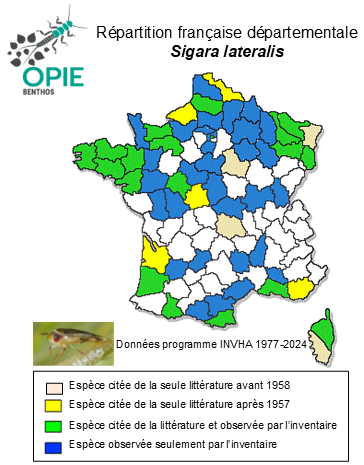 Carte de distribution de Sigara lateralis (Leach, 1817)