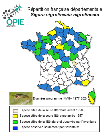 Carte de distribution de Sigara nigrolineata nigrolineata (Fieber, 1848)