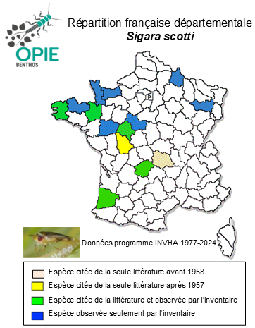 Carte de distribution de Sigara scotti (Douglas & Scott,1868)