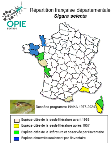 Carte de distribution de Sigara selecta (Fieber, 1848)