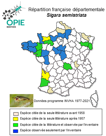 Carte de distribution de Sigara semistriata (Fieber, 1848)
