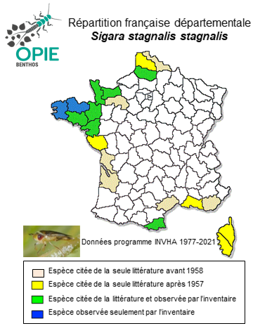 Carte de distribution de Sigara stagnalis stagnalis (Leach, 1817)