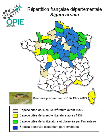 Carte de distribution de Sigara striata (Linnaeus, 1758)