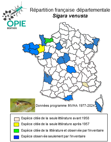 Carte de distribution de Sigara venusta (Douglas & Scott, 1869)