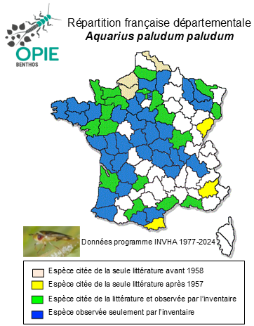 Carte de distribution de Aquarius paludum paludum (Fabricius, 1794)
