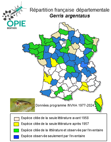 Carte de distribution de Gerris argentatus Schummel, 1832