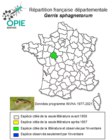 Carte de distribution de Gerris sphagnetorum Gaunitz, 1947